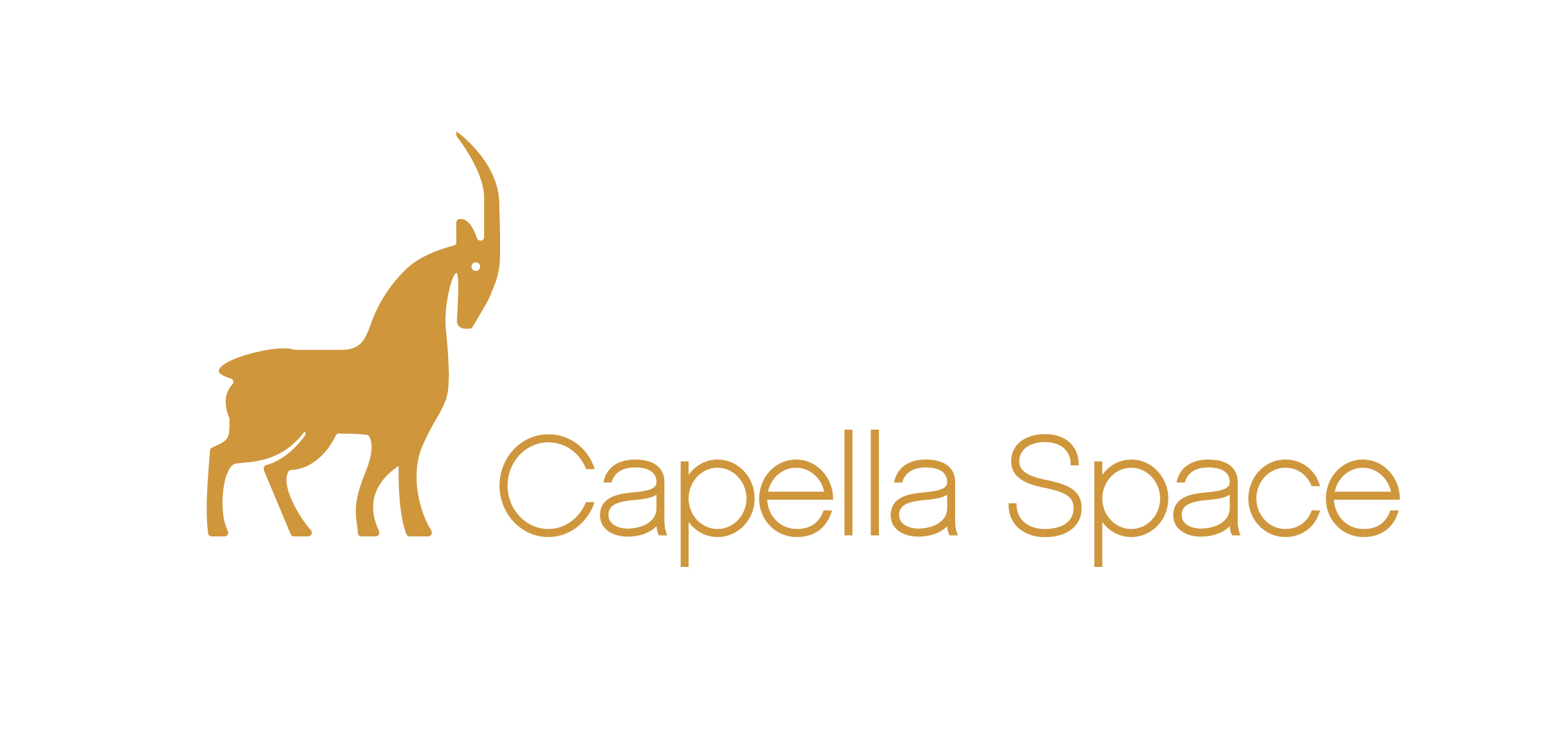 capella_space_horizontal_logo_copper